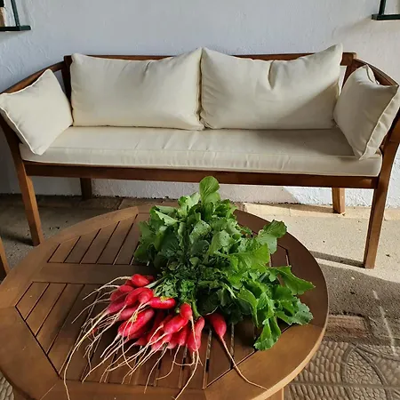 Holiday home Sevilla, Olivares *