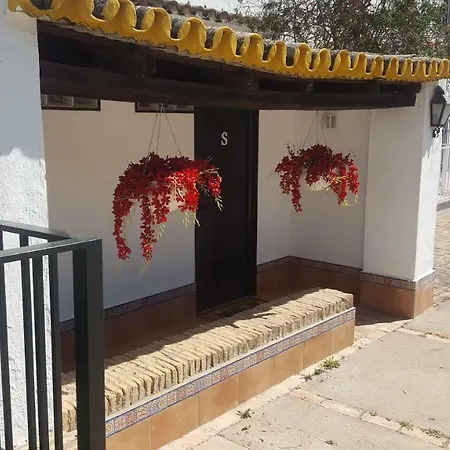 Sevilla, Olivares