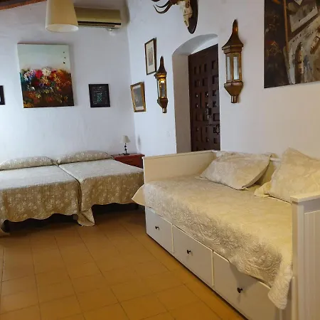Sevilla, Olivares *